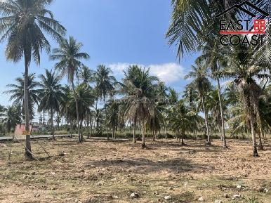 Land for sale in Pong 3