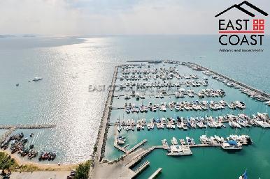 Ocean Marina 31