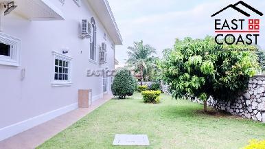 Palmtree 15