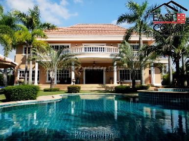 Palmtree 1