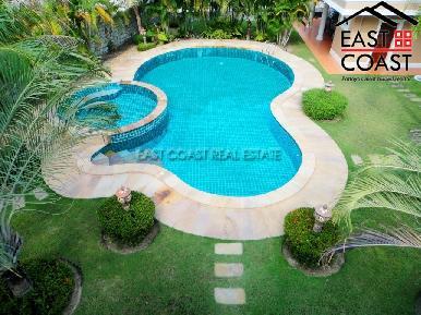 Palmtree 3