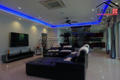 Phoenix Palms 11