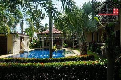 Phoenix Palms 3