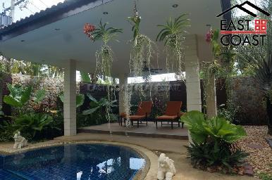 Phoenix Palms 5