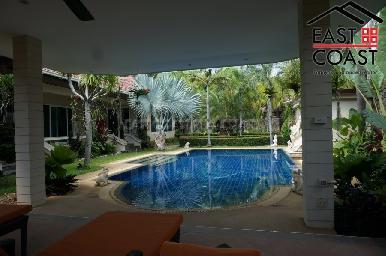 Phoenix Palms 6