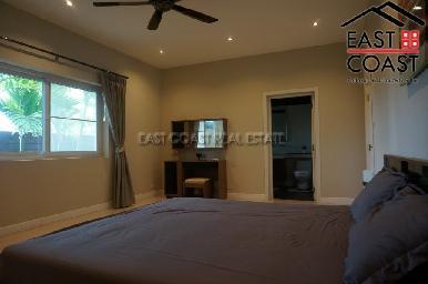 Phoenix Palms 29