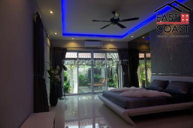 Phoenix Palms 21