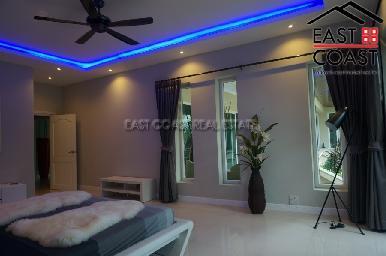 Phoenix Palms 24