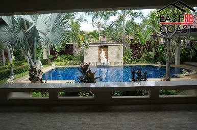 Phoenix Palms 9