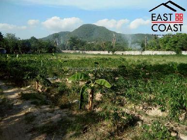 Sattahip Land 1