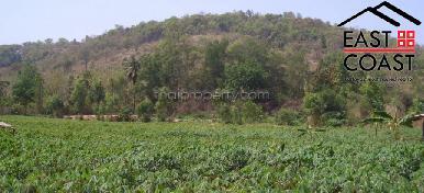 Sattahip Land 5