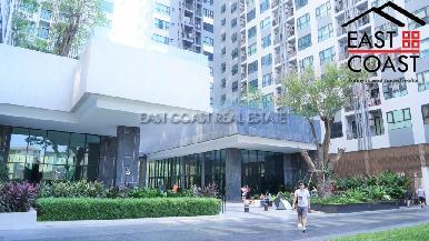 The Base 23