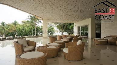 The Cove 19