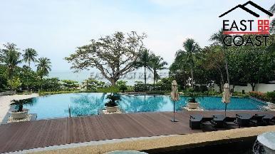 The Cove 2