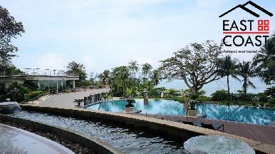 The Cove 26