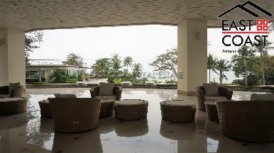 The Cove 20