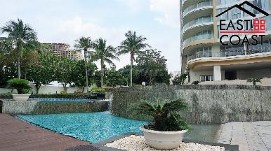 The Cove 31