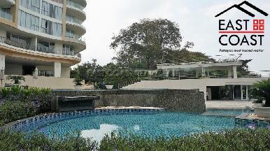 The Cove 32