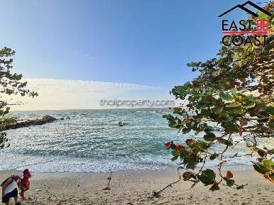 The Cove 51