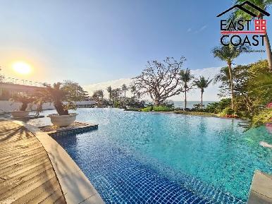 The Cove 53