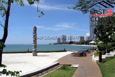 The Cove 1