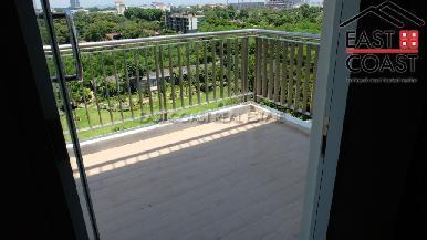 The Cove 19
