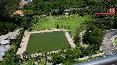 The Cove 17