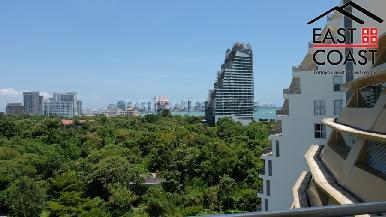 The Cove 16