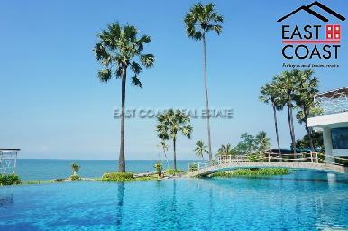 The Palm 21