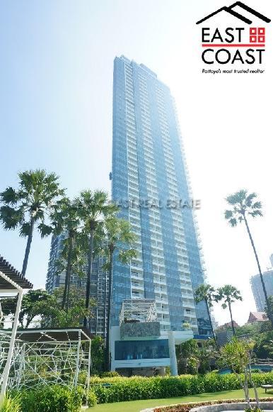 The Palm 20