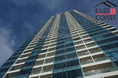 The Palm 1
