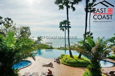 The Palm 18