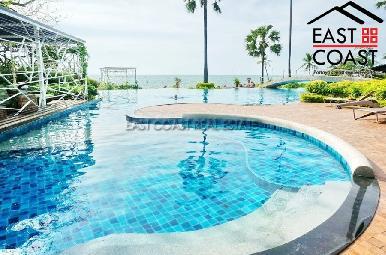 The Palm 20