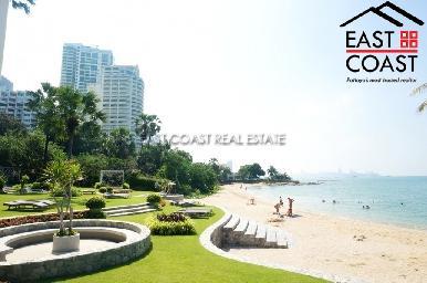 The Palm 22
