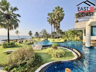 The Palm 32