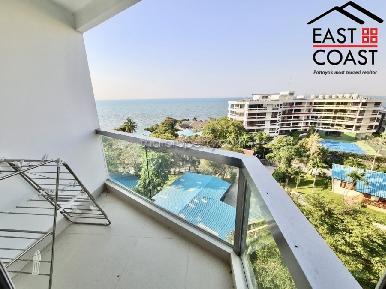 The Palm 20