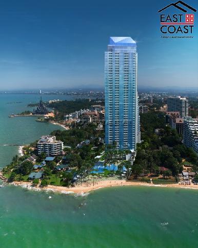 The Palm 1