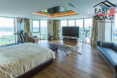 The Palm 40