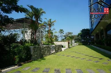The Palm 15