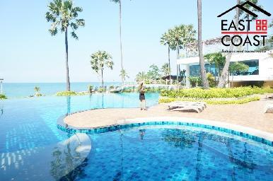 The Palm 14