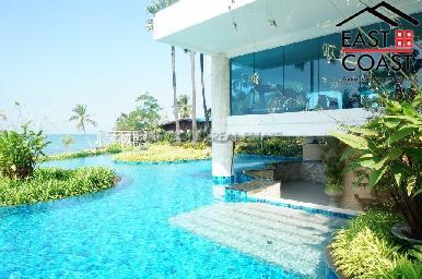 The Palm 13