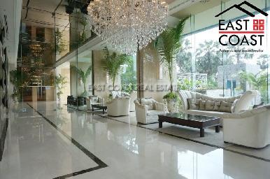 The Palm 17