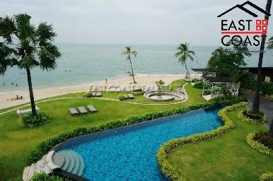 The Palm 18