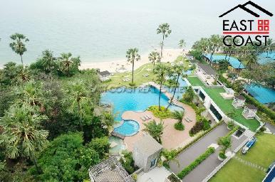 The Palm 13