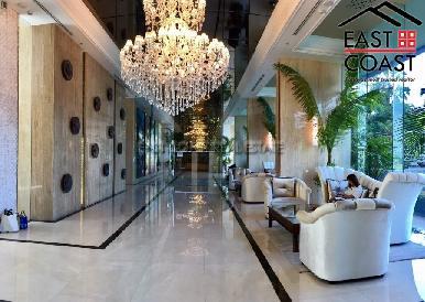 The Palm 24