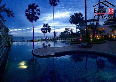 The Palm 25