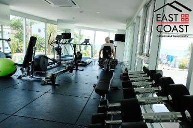 The Sands 14