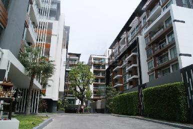 The Urban 8
