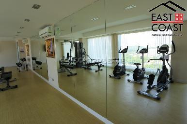 The View 9
