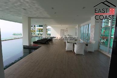 The View 8